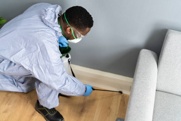 Professional Pest control in Jackson, MI